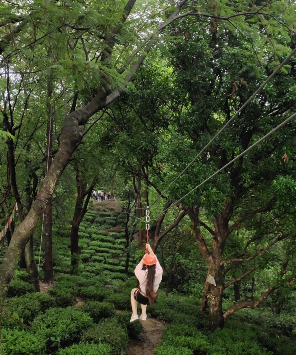 Zipline in Palampur