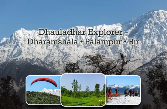 Dhauladhar Explorer – Dharamshala - Palampur - Bir