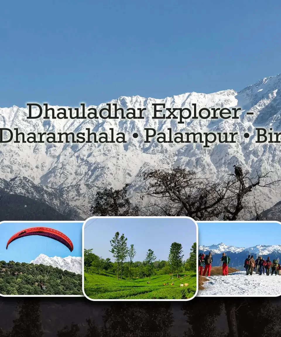 Dhauladhar Explorer – Dharamshala - Palampur - Bir