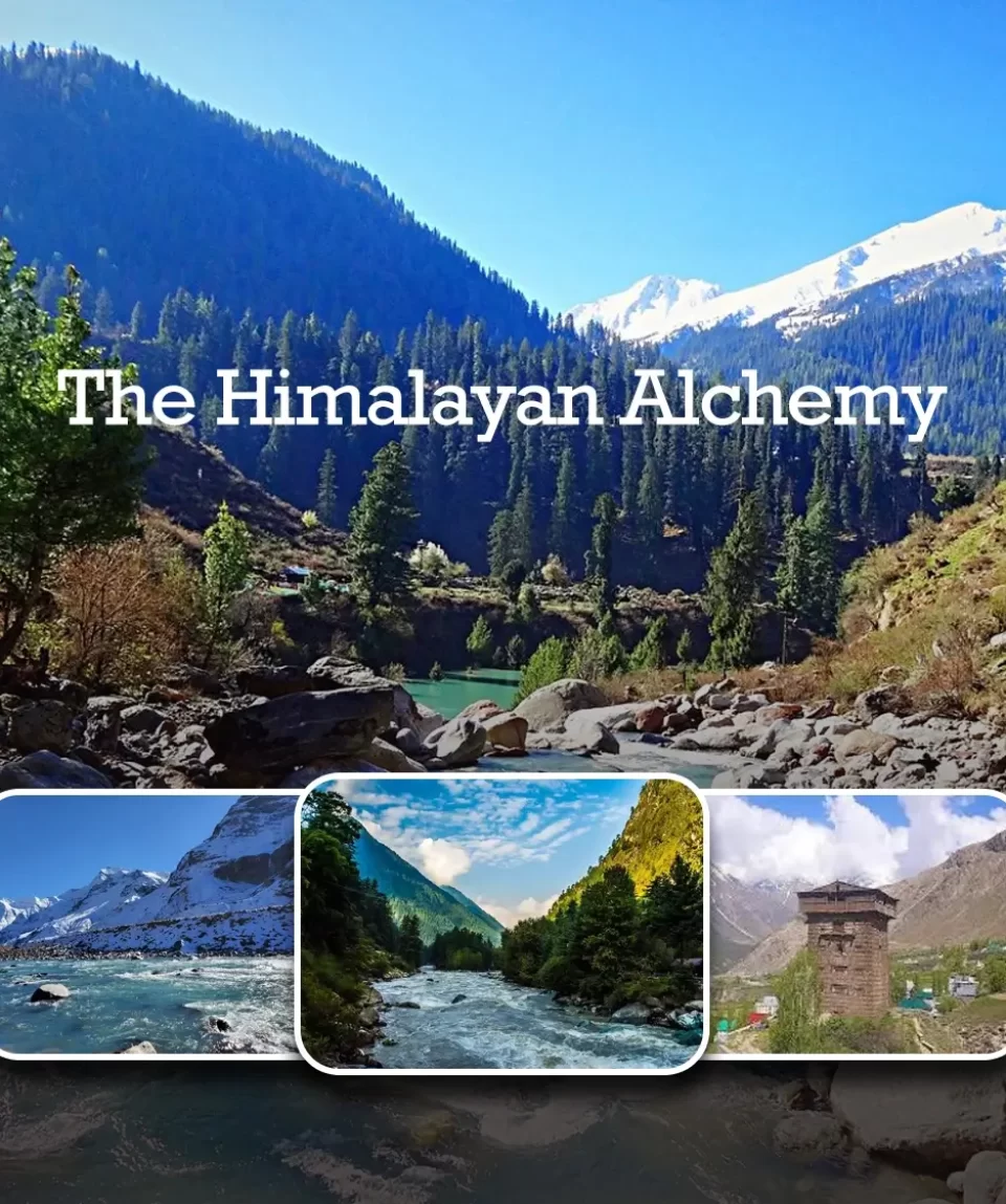 The Himalayan Alchemy