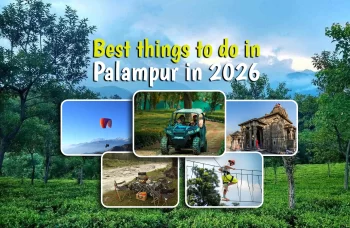 best things to do in palampur in 2026