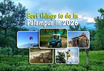 best things to do in palampur in 2026