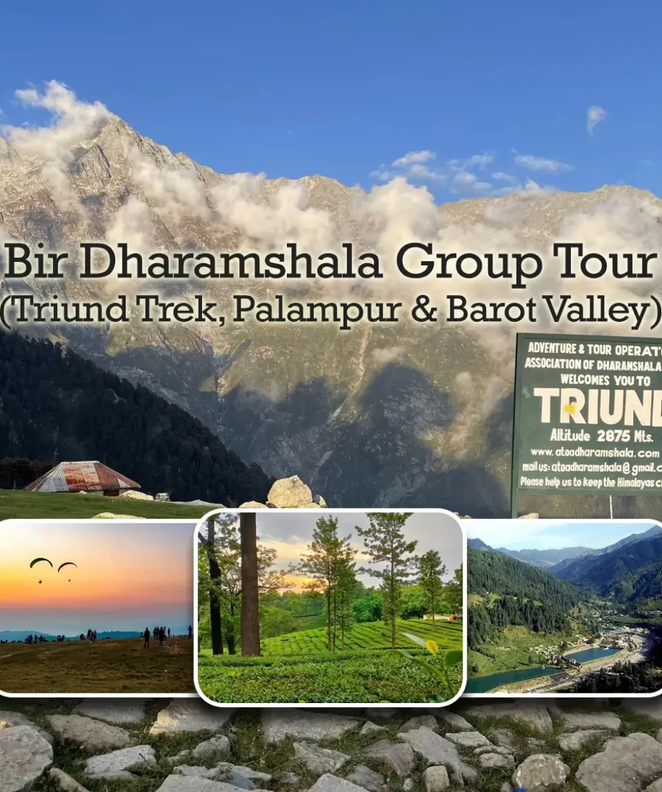 Bir Dharamshala Group Tour Package
