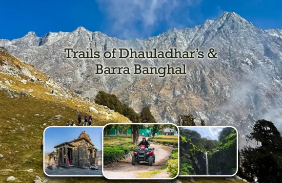 Dhauladhar palampur tour package