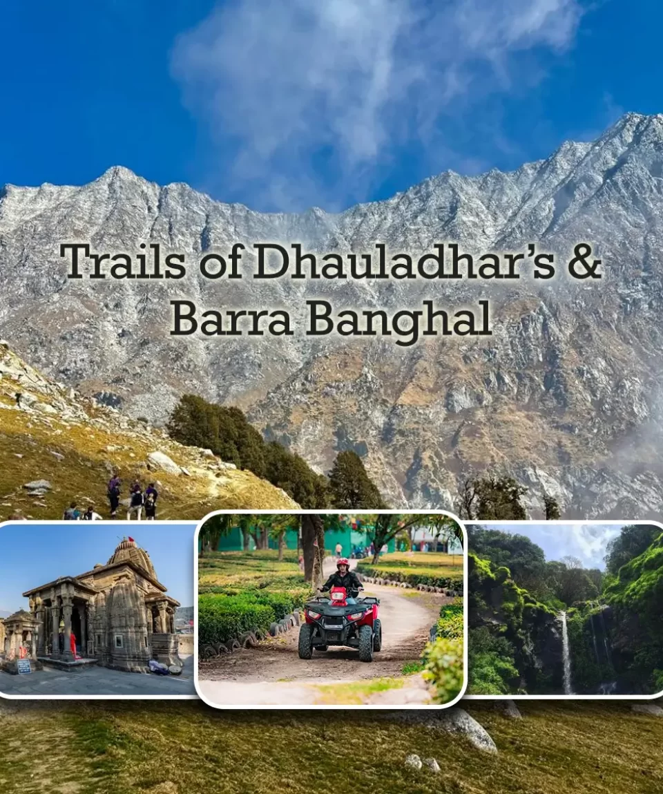 Dhauladhar palampur tour package